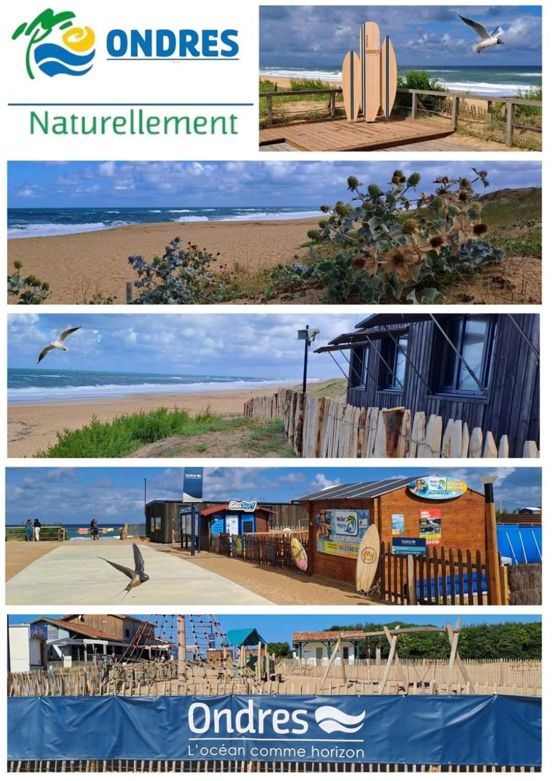 T2 Turquoise Ondres Plage Avec Piscine Et Tennis מראה חיצוני תמונה